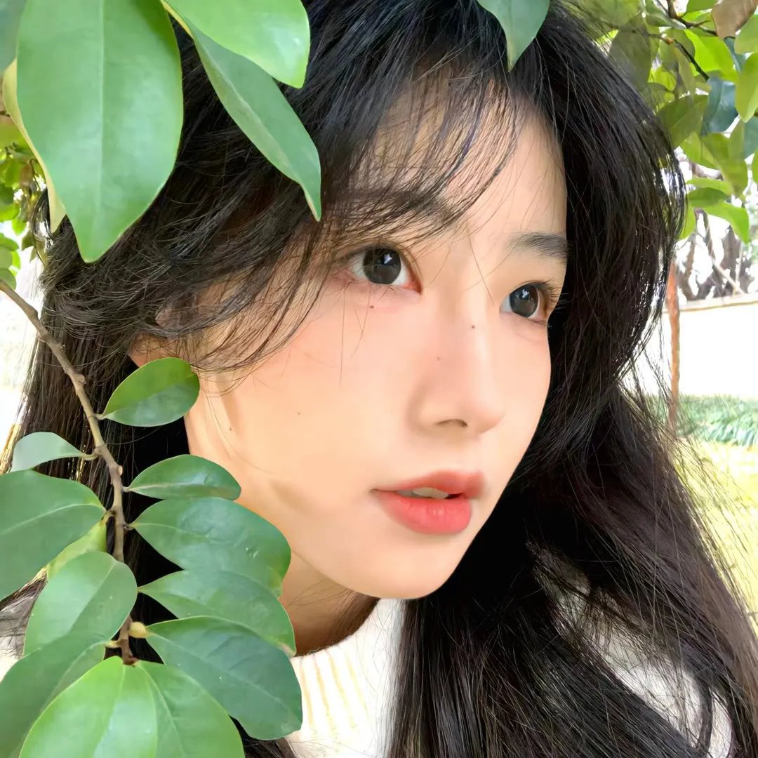 哈利与梅根:皇家情缘